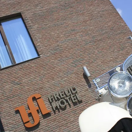 弗洛伊德酒店 4*